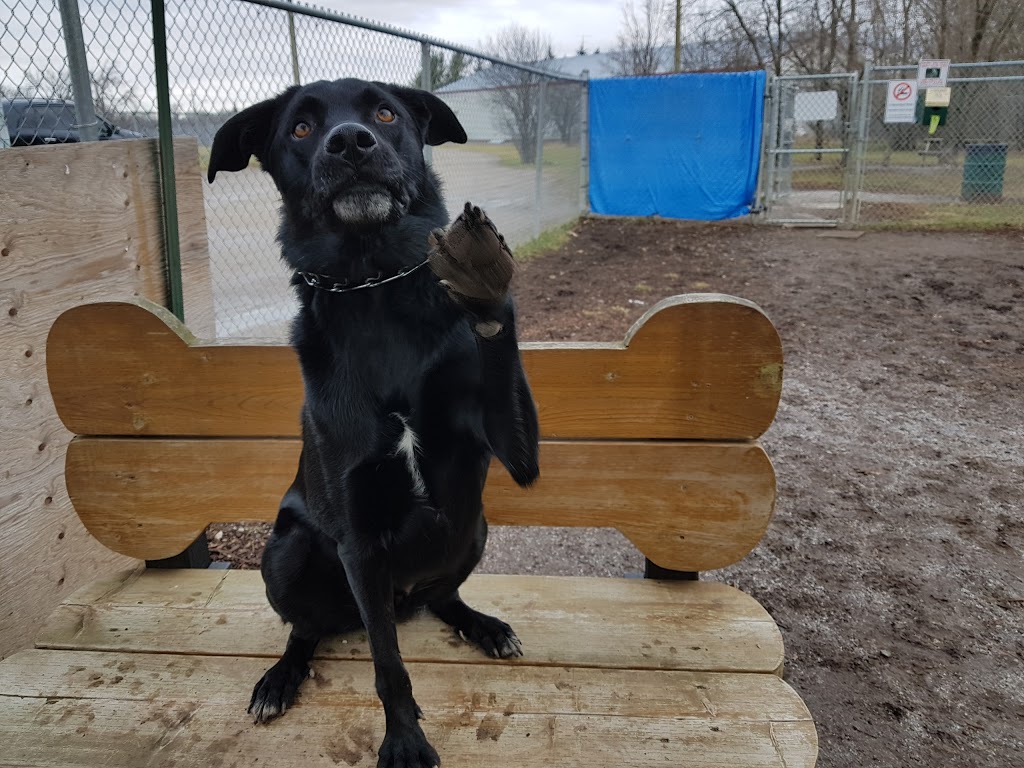 Gleeson Park Off-leash Dog Area | 25 Old Slys Rd, Smiths Falls, ON K7A 3M3, Canada