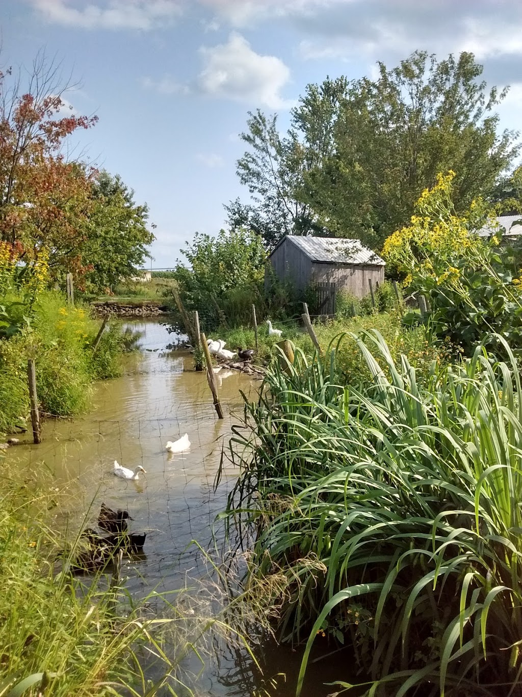 Farm Du Bassin | 1040 Rang Saint Jean Baptiste, Saint-Joachim-de-Courval, QC J1Z 2E2, Canada