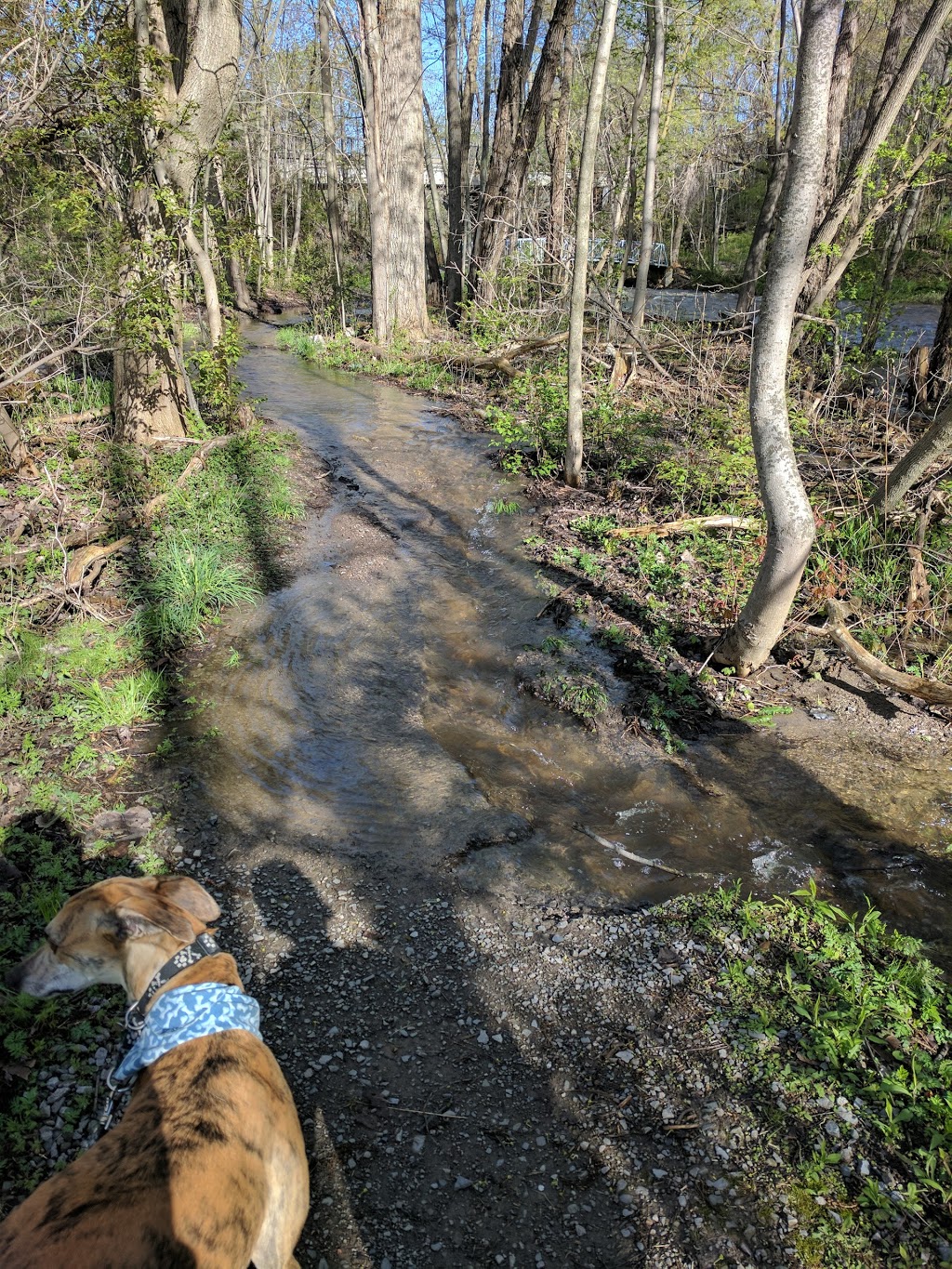 Greensville Optimist Park | Optimist Trail, Hamilton, ON L9H 5H3, Canada