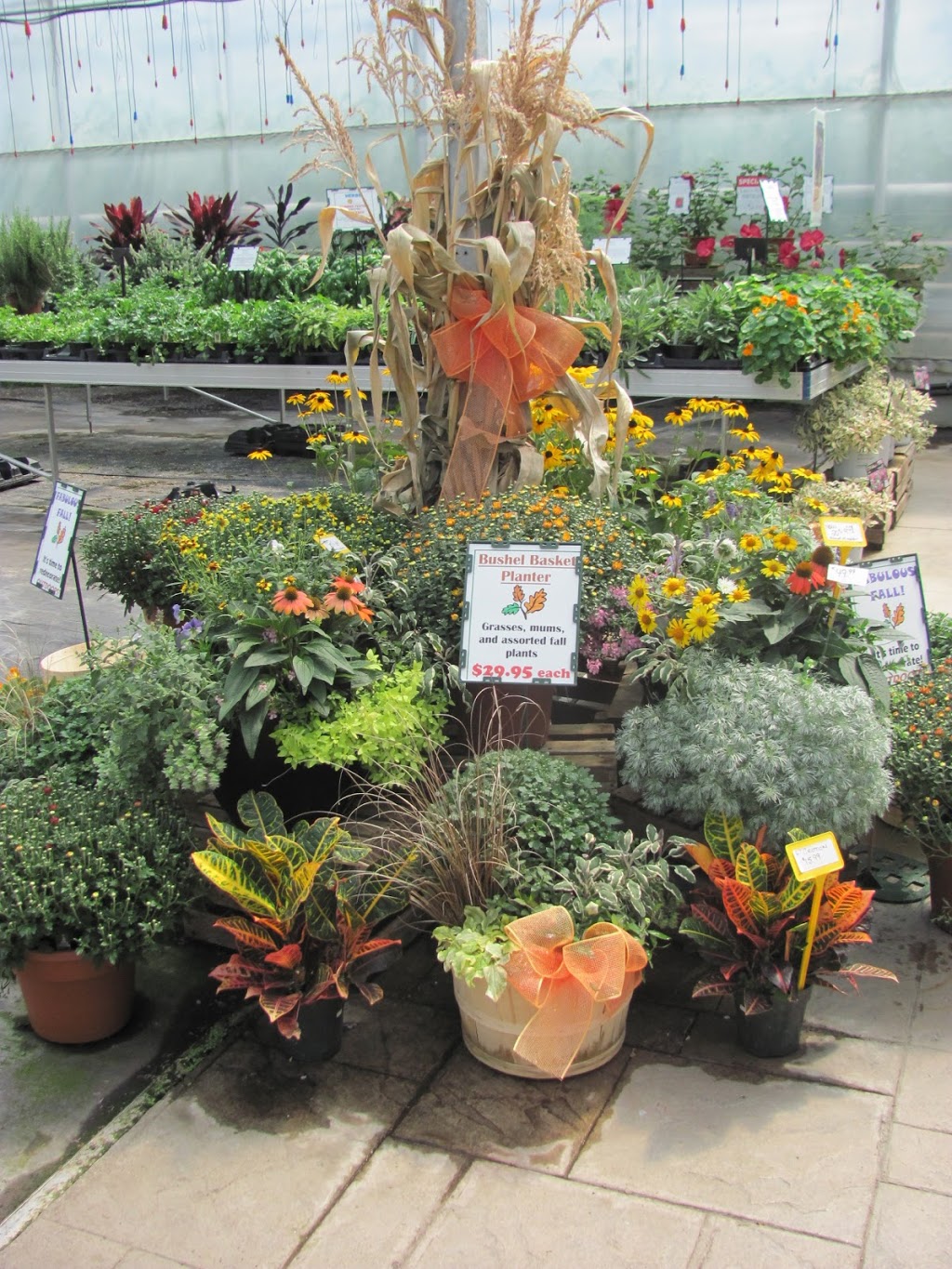 Sun Harvest Greenhouses | 2542 Perth Rd, Glenburnie, ON K0H 1S0, Canada | Phone: (613) 546-6541