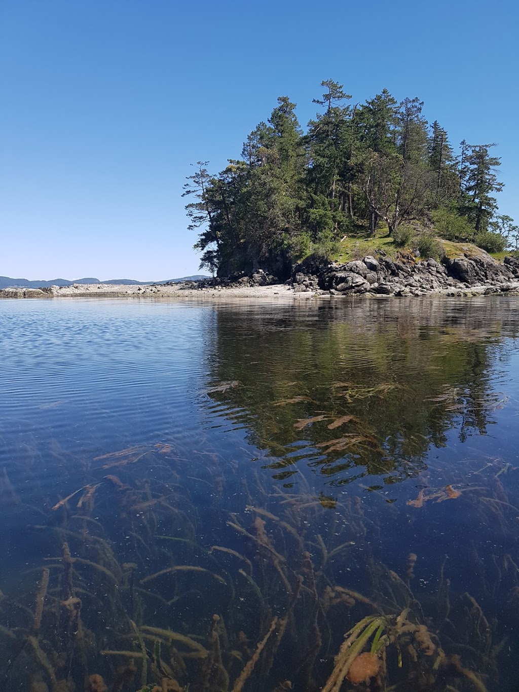 Kayak Salt Spring | 165 Long Harbour Rd, Salt Spring Island, BC V8K 2K9, Canada | Phone: (250) 537-6499