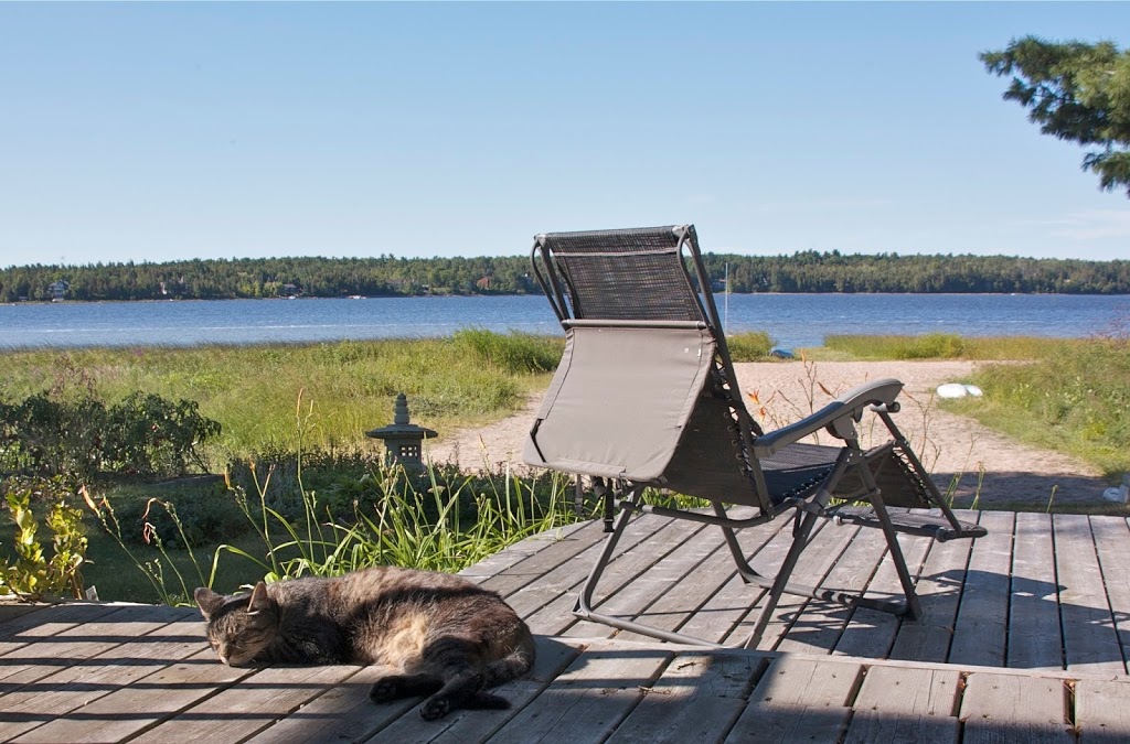 Waterfront Wellness | 43 Chemin du Bord de lEau, Luskville, QC J0X 2G0, Canada | Phone: (613) 219-5116