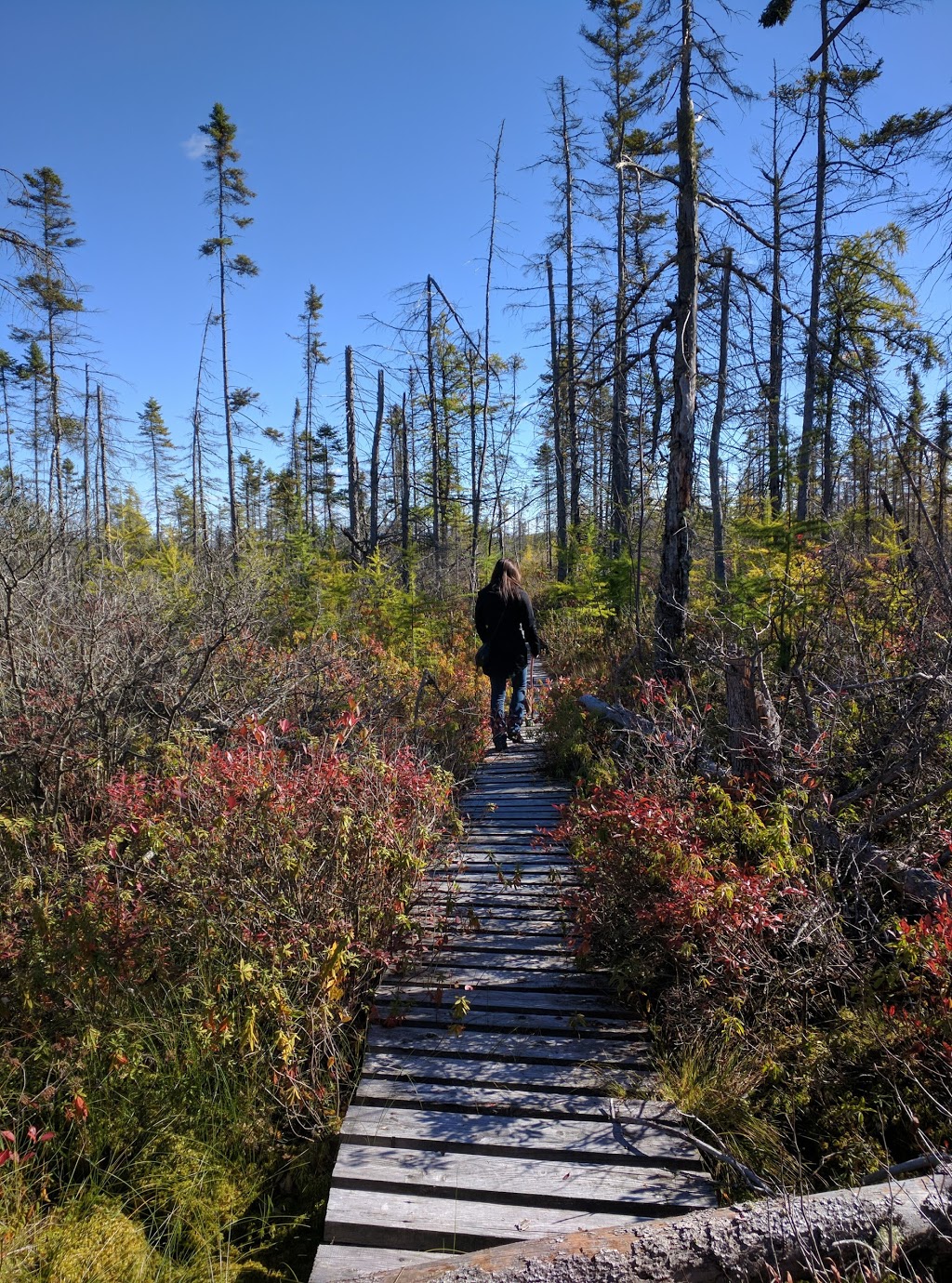 Parc régional des Grandes-Coulées | 2 Route du Plé, Plessisville, QC G0S 1T0, Canada | Phone: (819) 621-1333