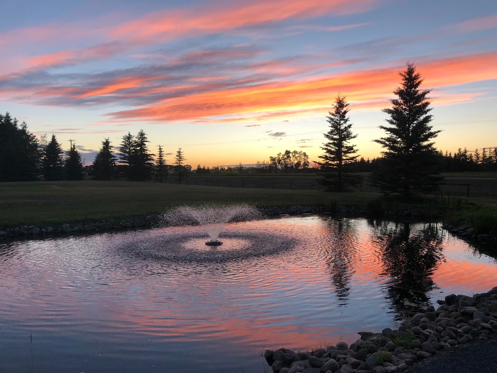 Pine and Pond Wedding Venue | Box 10, Site 12, RR4, Ponoka County, AB T4J 1R4, Canada | Phone: (780) 966-9333