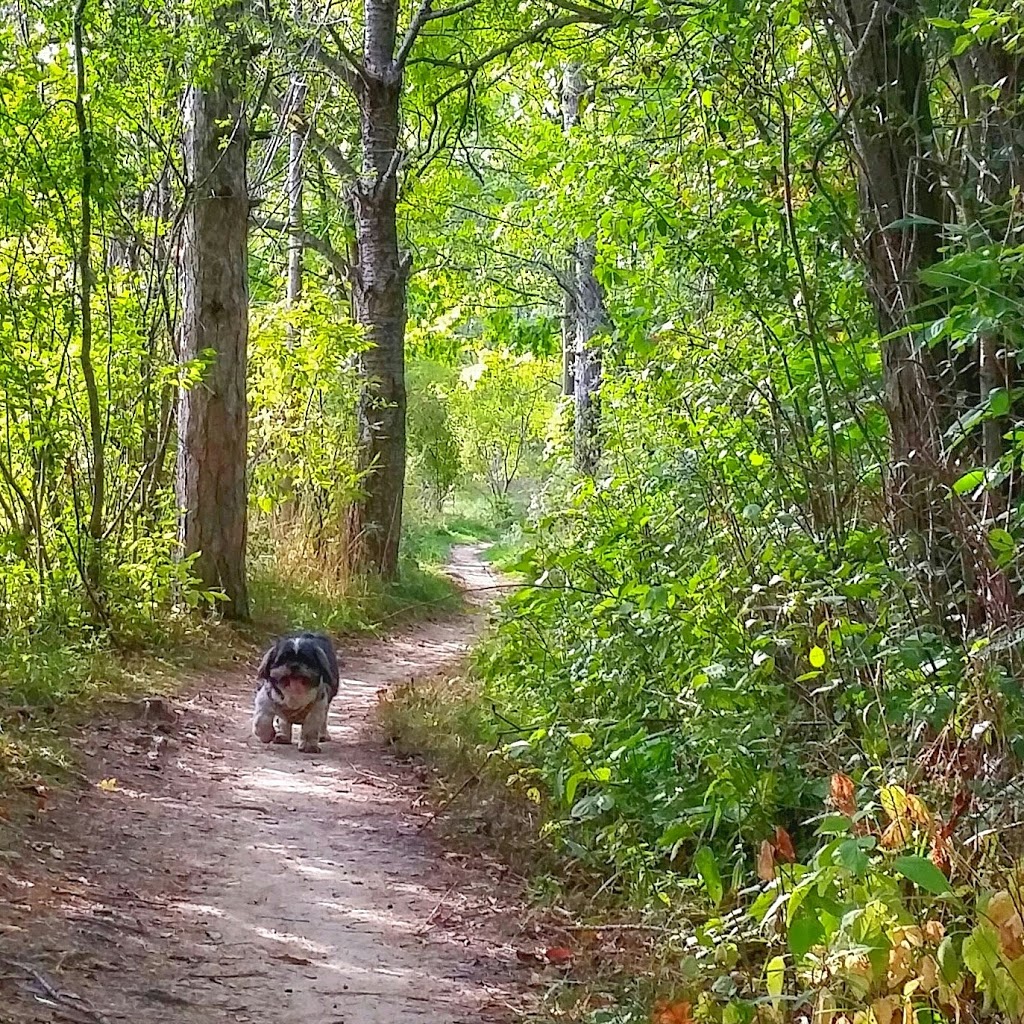 De Cou House Heritage Park Pump Track and associated TRAILS | 2350 Decew rd. C/O E.G.O, Thorold, ON L0S 1E6, Canada | Phone: (905) 964-8056