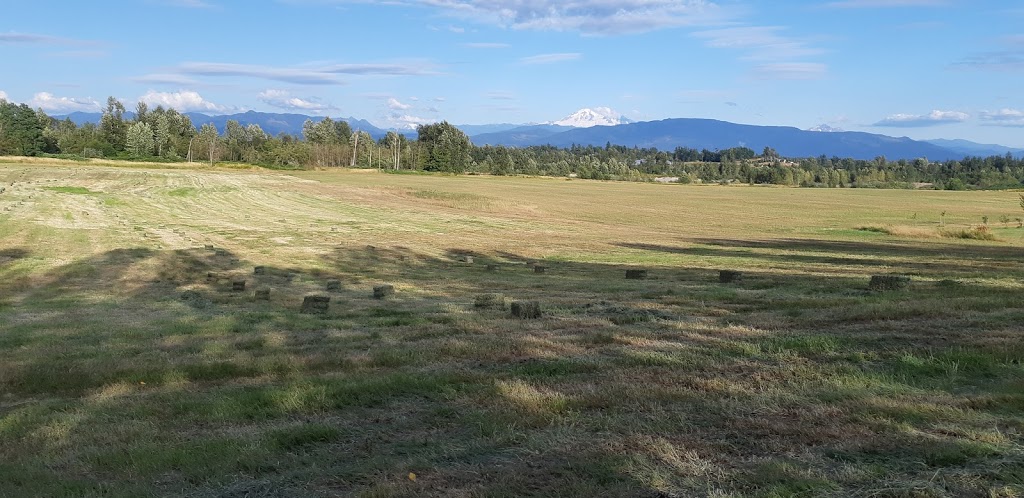 Majestic View Farm | 1212 Lefeuvre Rd, Abbotsford, BC V4X 1H7, Canada | Phone: (604) 833-3881