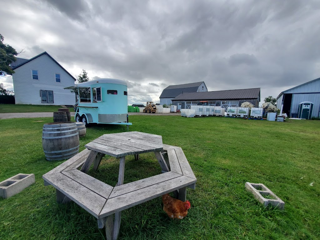 Urban Tractor Farm Winery | 3858 Konkle Rd, Lincoln, ON L3J 2B2, Canada | Phone: (905) 334-6401