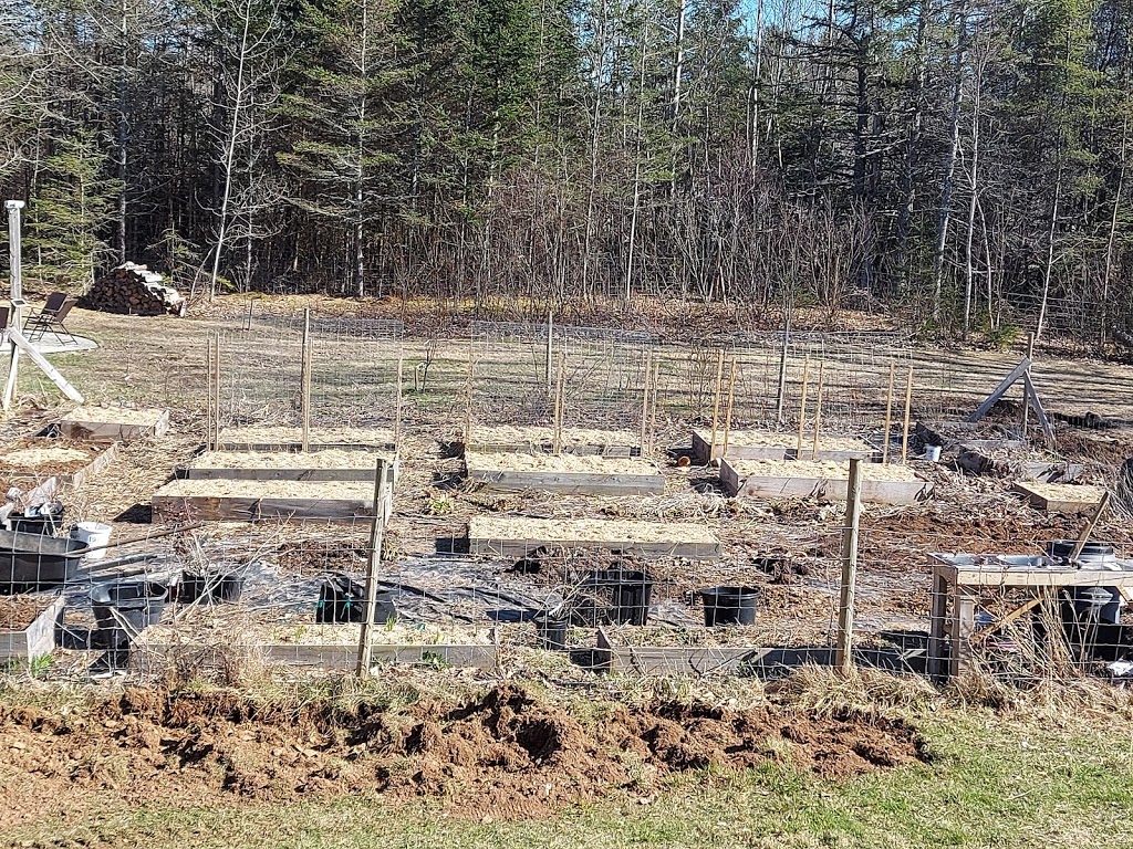 Lucky Acres Homestead | 540 W Halls Harbour Rd, Centreville, NS B0P 1J0, Canada | Phone: (902) 698-9123