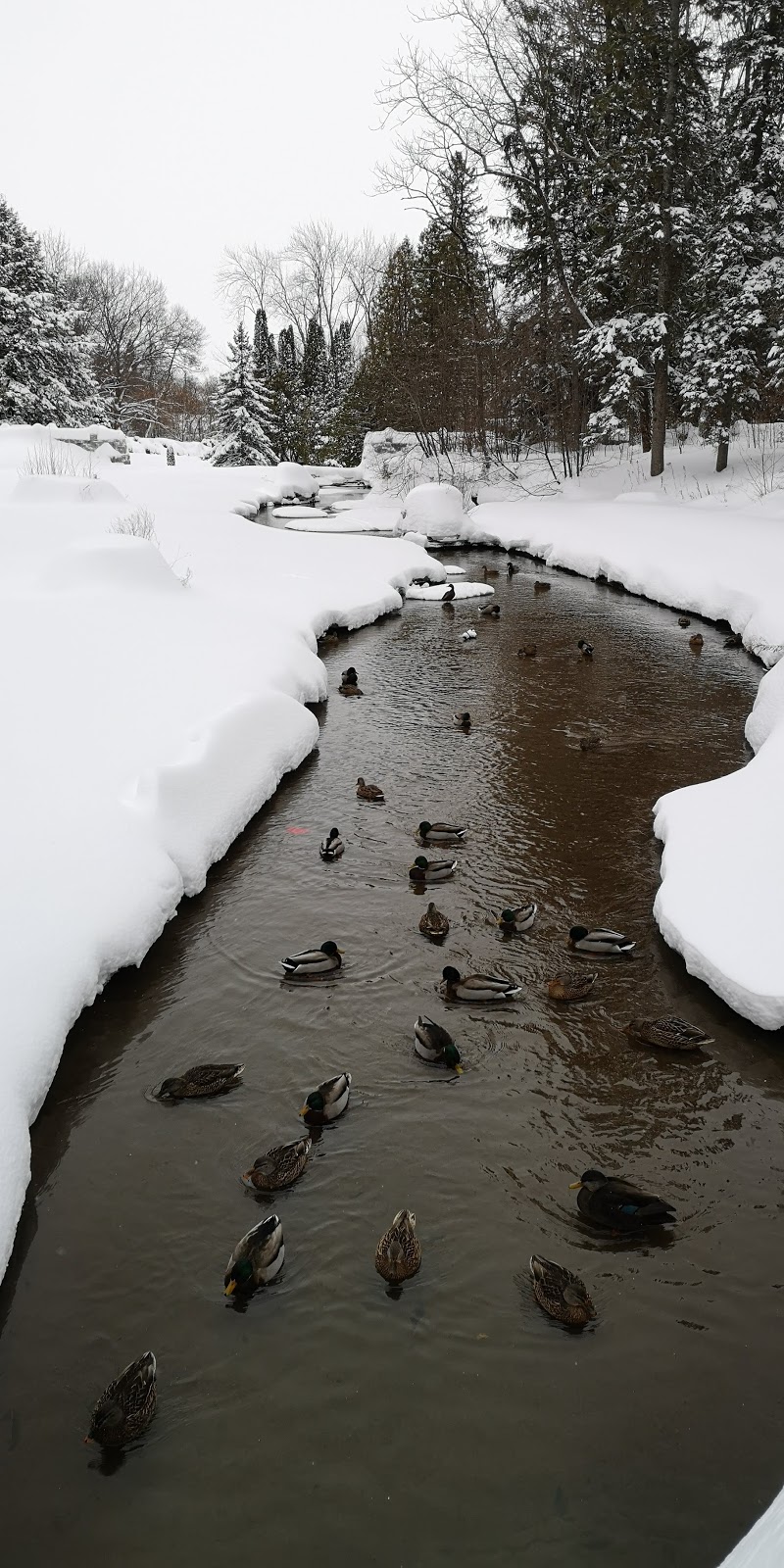 Parc des Moulins | 8191 Avenue du Zoo, Québec, QC G1G 6T8, Canada | Phone: (418) 528-0773