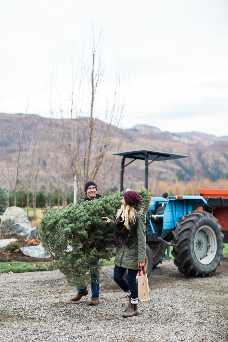 Woodward Christmas Tree Farm | 5505 Westsyde Rd, Kamloops, BC V2B 8N5, Canada | Phone: (250) 579-8739