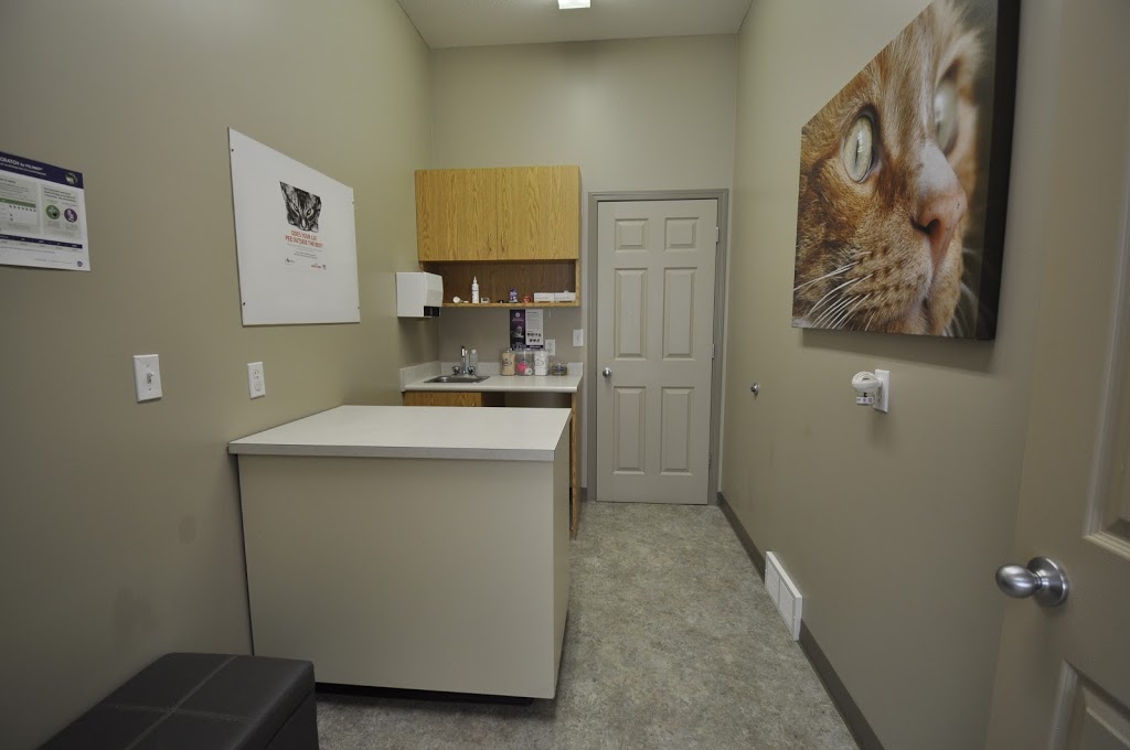 Wascana Animal Hospital | 3259 Eastgate Dr, Regina, SK S4Z 1A4, Canada | Phone: (306) 789-0918