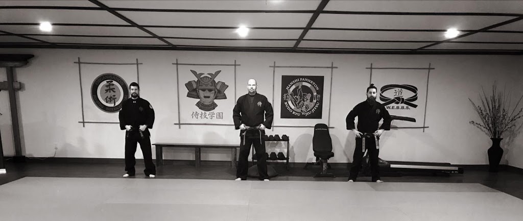 Samurai Arts Academy | 8188 Victoria St, Metcalfe, ON K0A 2P0, Canada | Phone: (613) 797-4690