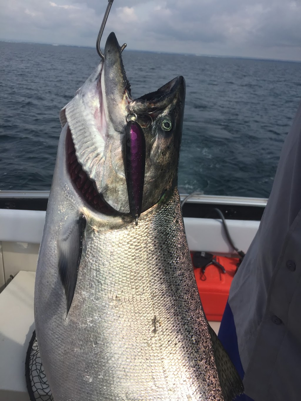 Hooked Up Fishing Charters | 301 Watson St W, Whitby, ON L1N 1A2, Canada | Phone: (905) 440-6908