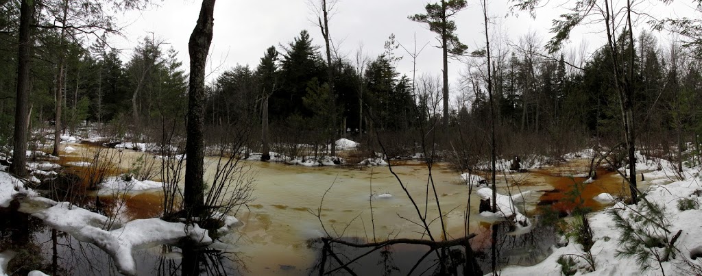 The Gulf Unique Area | Mooers Forks, NY 12959, USA