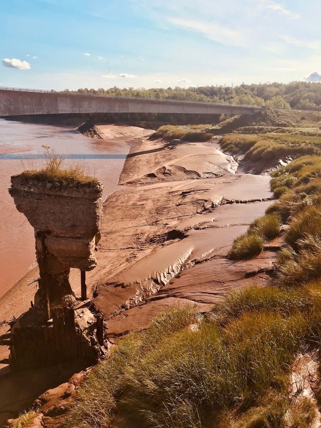 Fundy Tidal Interpretive Centre | 9865 Nova, Scotia 236, Maitland, NS B0N 1T0, Canada | Phone: (902) 261-2250