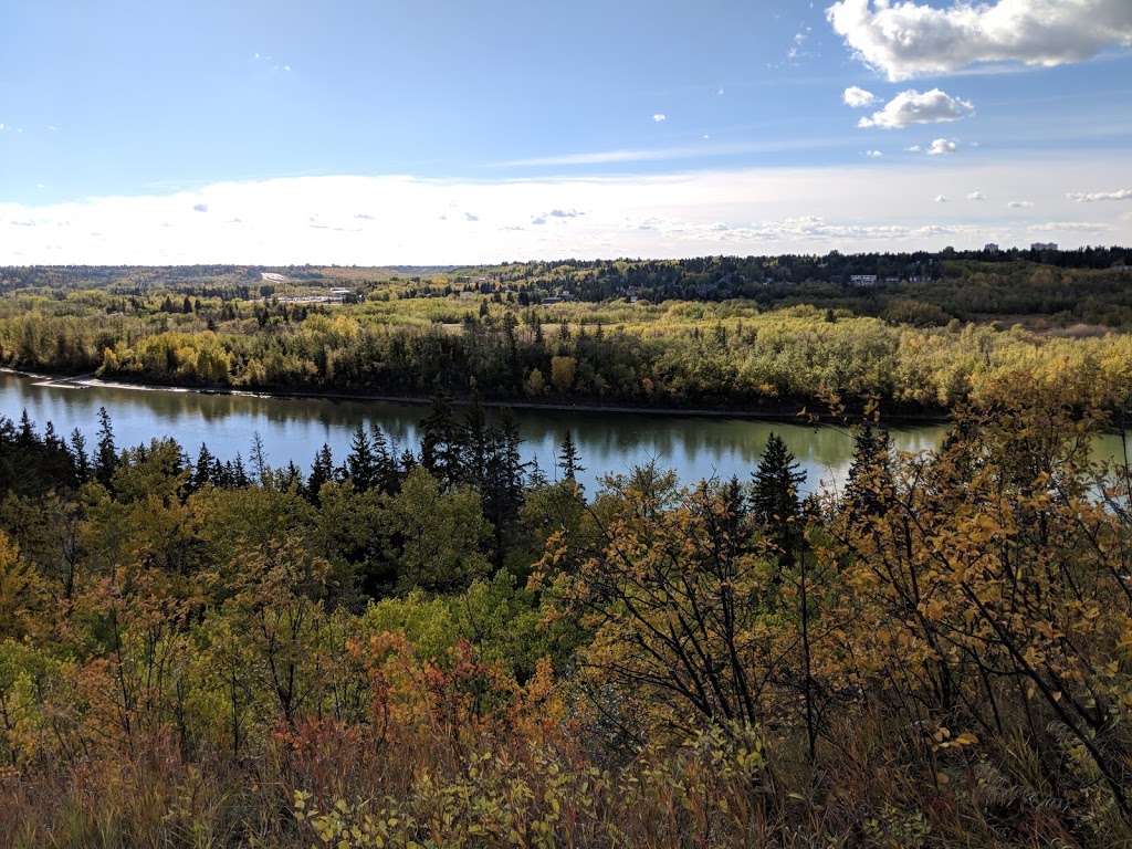 Hawrelak Trail Off Leash Site | Edmonton, AB T6G 2A8, Canada
