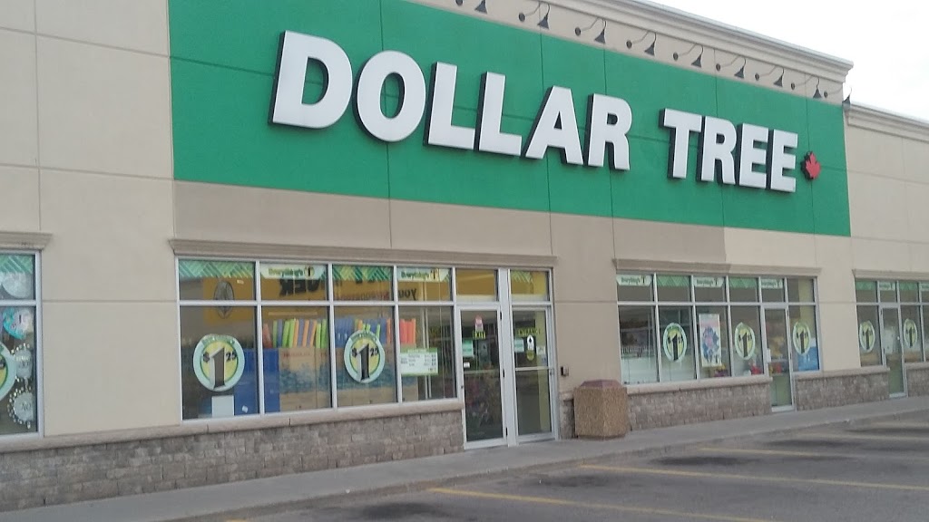 Dollar Tree | 82B King George Rd, Brantford, ON N3R 5K4, Canada | Phone: (519) 751-9981