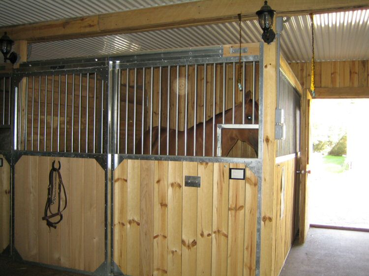 Equi-Nad | 1395 139 Rte, Wickham, QC J0C 1S0, Canada | Phone: (819) 398-5304