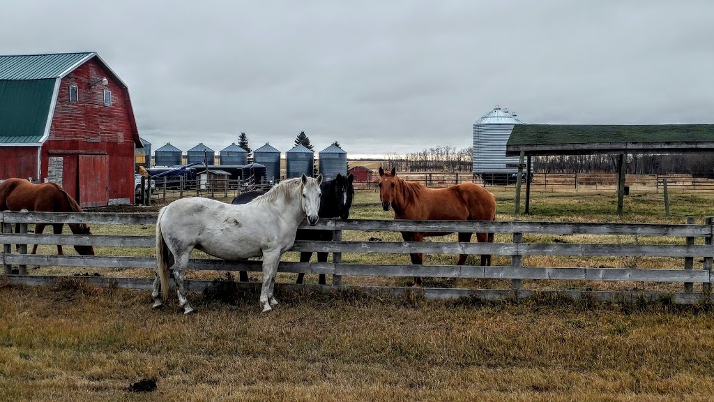 Valley Regional Park- Rosthern | Rosthern No. 403, SK S0K 3R0, Canada | Phone: (306) 232-5272