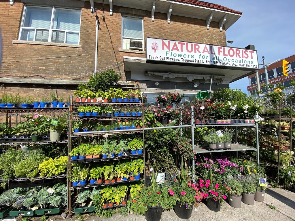 Natural Florist | Toronto, ON M4C 1J4, Canada | Phone: (416) 696-2620