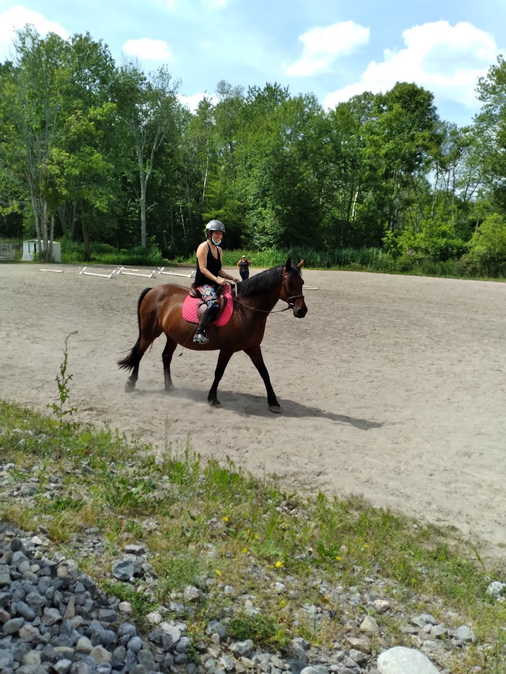 Miron Valley Stable & Riding School | 337 Miron Rd, Quinte West, ON K8V 5P6, Canada | Phone: (613) 394-5587