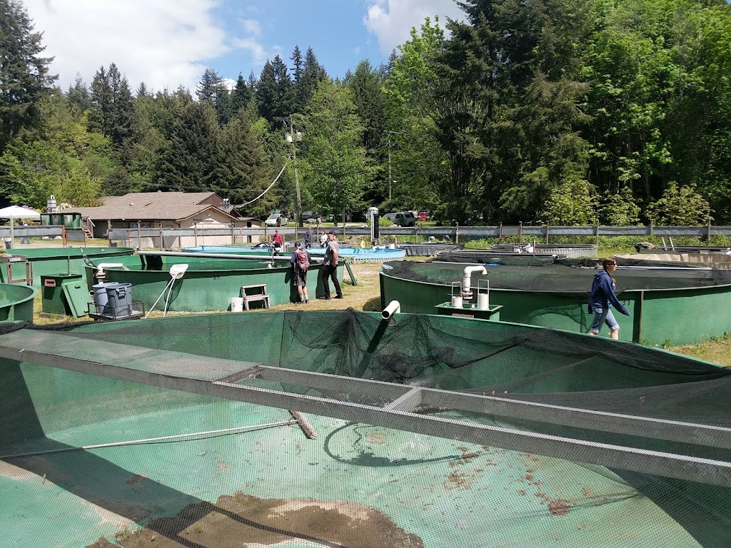 Chapman Creek Hatchery | 4381 Parkway Dr, Sechelt, BC V0N 3A1, Canada | Phone: (604) 885-4136