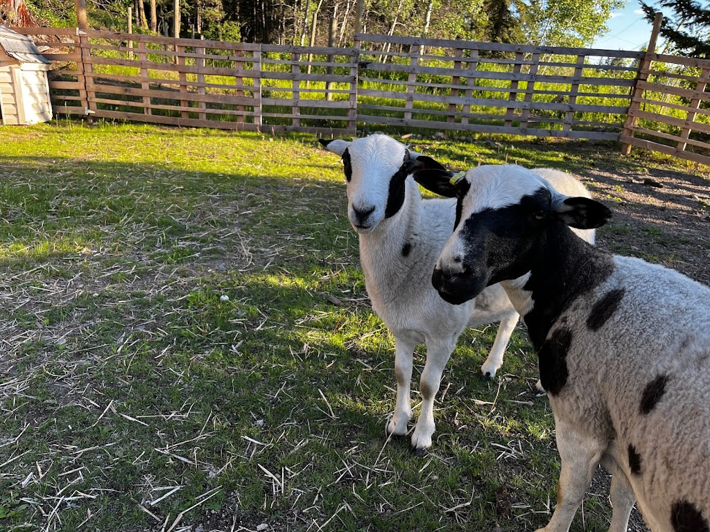 Smith Family Farm | 4960 Steffens Rd, Merritt, BC V1K 1M6, Canada | Phone: (250) 378-5320