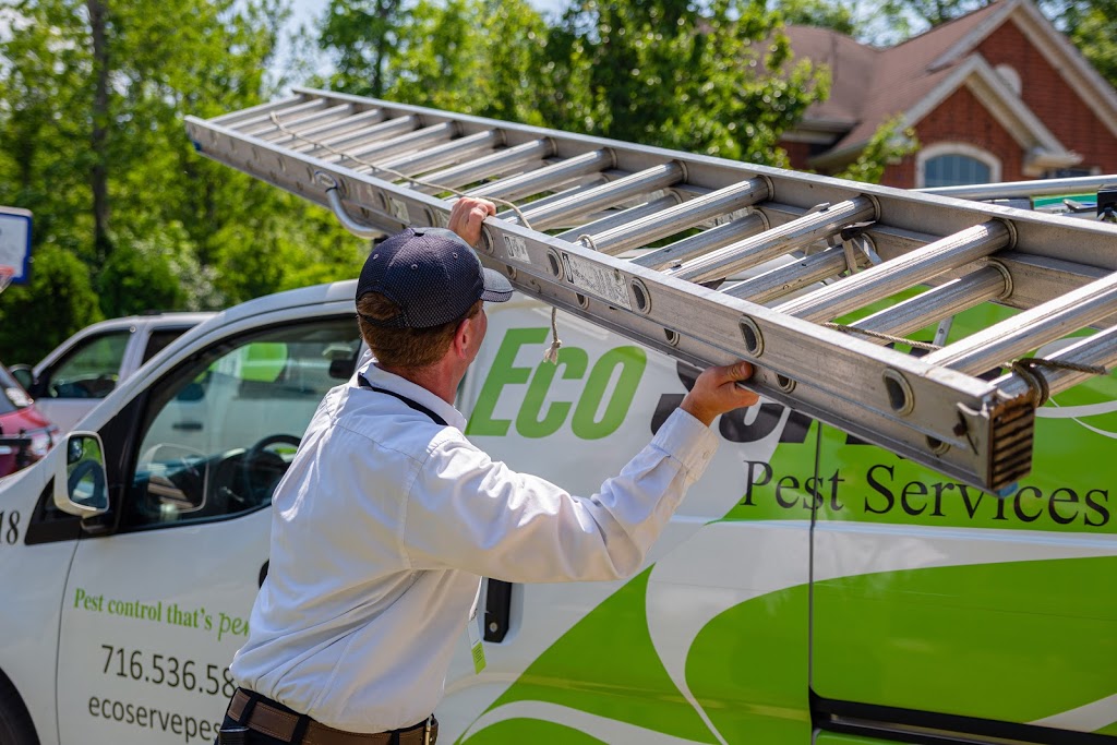 Eco Serve Pest Services | 3573 N Buffalo St, Orchard Park, NY 14127, USA | Phone: (716) 536-5806