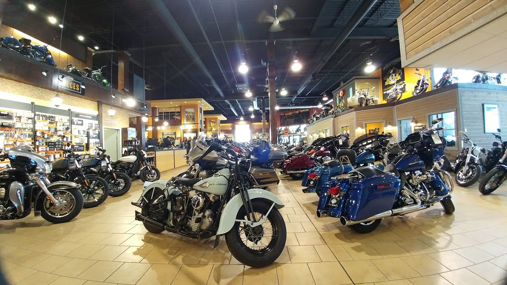 Léo Harley-Davidson | 8705 Boulevard Taschereau, Brossard, QC J4Y 1A4, Canada | Phone: (450) 443-4488