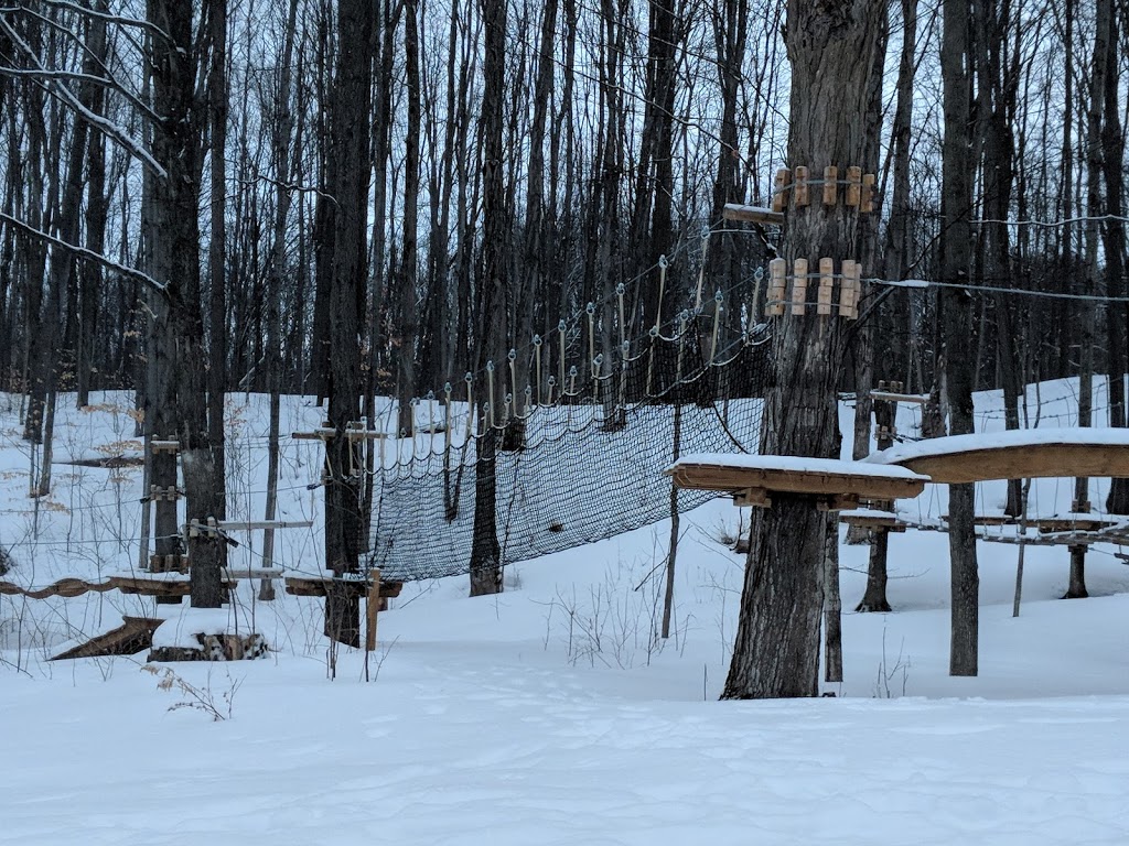 Treetop Trekking Barrie at Horseshoe Valley | 1101 Horseshoe Valley Rd. Comp 10 R.R. #1, Barrie, ON L4M 4Y8, Canada | Phone: (705) 835-7600