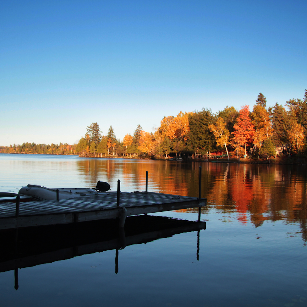 Sylvia Smith Cottage Real Estate Agent Parry Sound & Muskoka | 304 Beaver Dam Rd, Dunchurch, ON P0A 1G0, Canada | Phone: (647) 622-7869