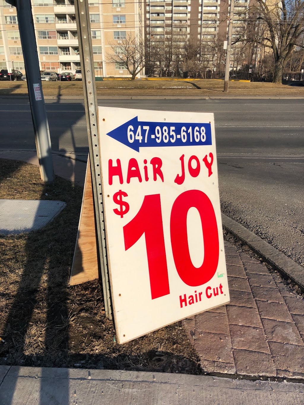 Hair Joy | 4404 Bathurst St, North York, ON M3H 3R7, Canada | Phone: (416) 633-8538