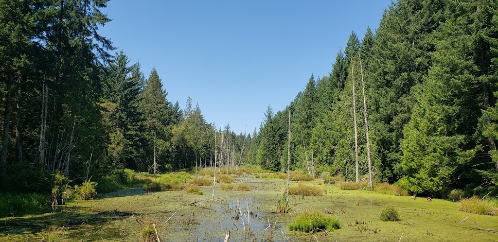 Swallows Keep | 1155 Devina Dr, Galiano Island, BC V0N 1P0, Canada | Phone: (250) 539-9923