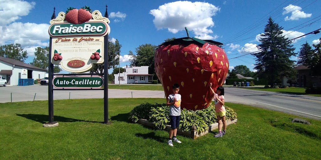 Fraisebec Inc | 420 Rang Lepage, Sainte-Anne-des-Plaines, QC J5N 2M5, Canada | Phone: (450) 478-4131