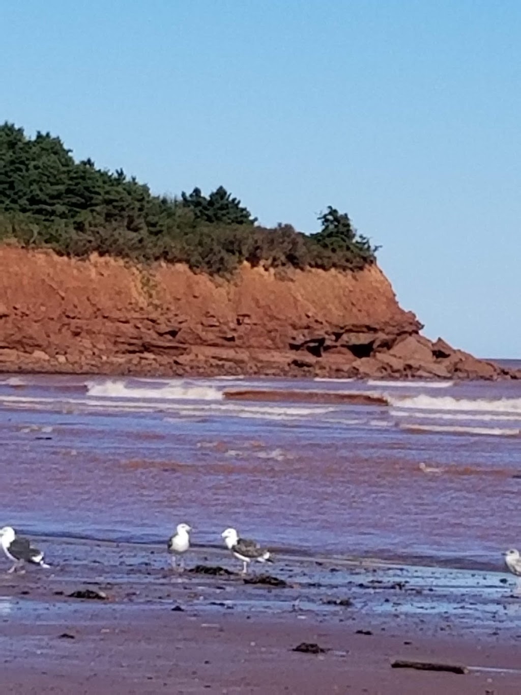 Cape Turner, Prince Edward Island National Park | 750 Gulf Shr Pkwy W, North Rustico, PE C0A 1M0, Canada | Phone: (902) 672-6350