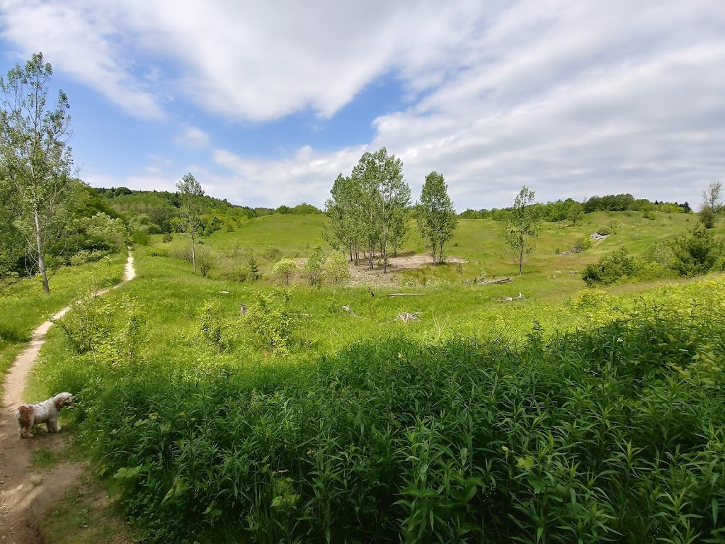 Glen Major Forest | Uxbridge, ON L0C, Canada