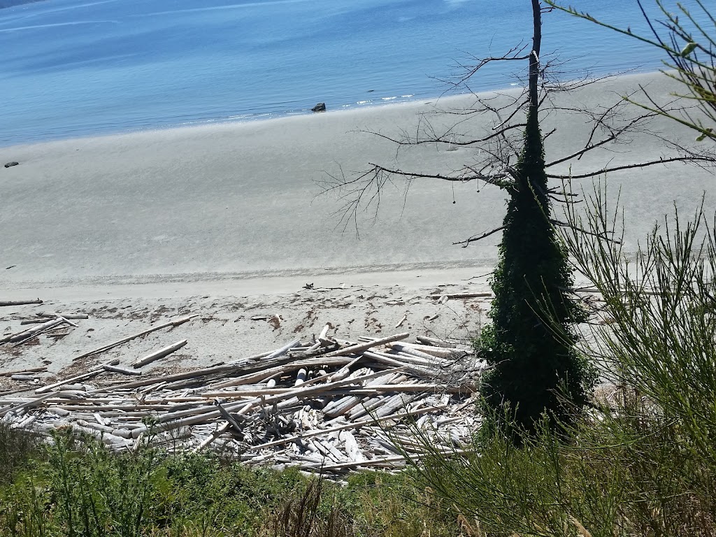 Sandcastle at South Beach | Savary Island, 3090 Ocean View Ln, Lund, BC V0N 2G0, Canada | Phone: (403) 703-5977