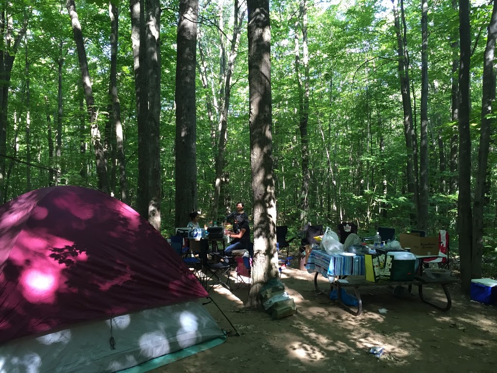 Snake Campground | Tiny, ON L9M 1R2, Canada | Phone: (705) 549-2231