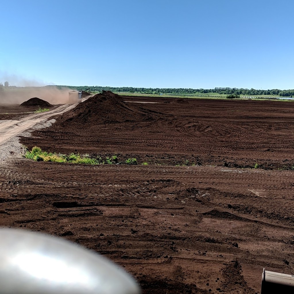 Topsoil Yves Malboeuf Custom Works | 619 Concession 7, Alfred, ON K0B 1A0, Canada | Phone: (613) 223-1830