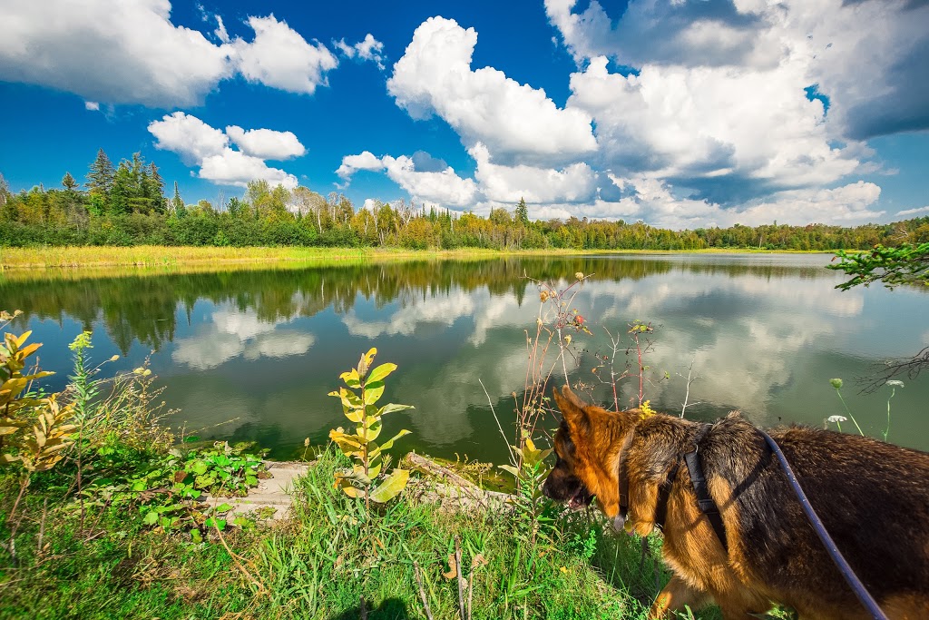 Secord Forest and Wildlife Area | Goodwood, ON L0C 1A0, Canada