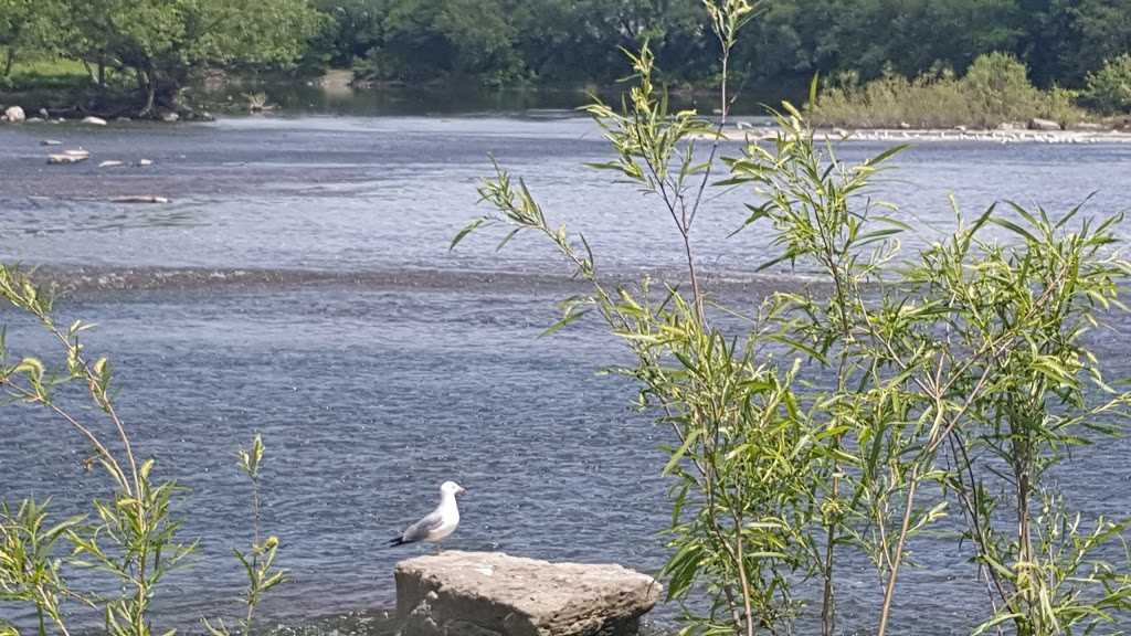 Domaine-de-la-Pêche-au-Saumon | 1 Rue du Pont, Sainte-Martine, QC J0S 1V0, Canada