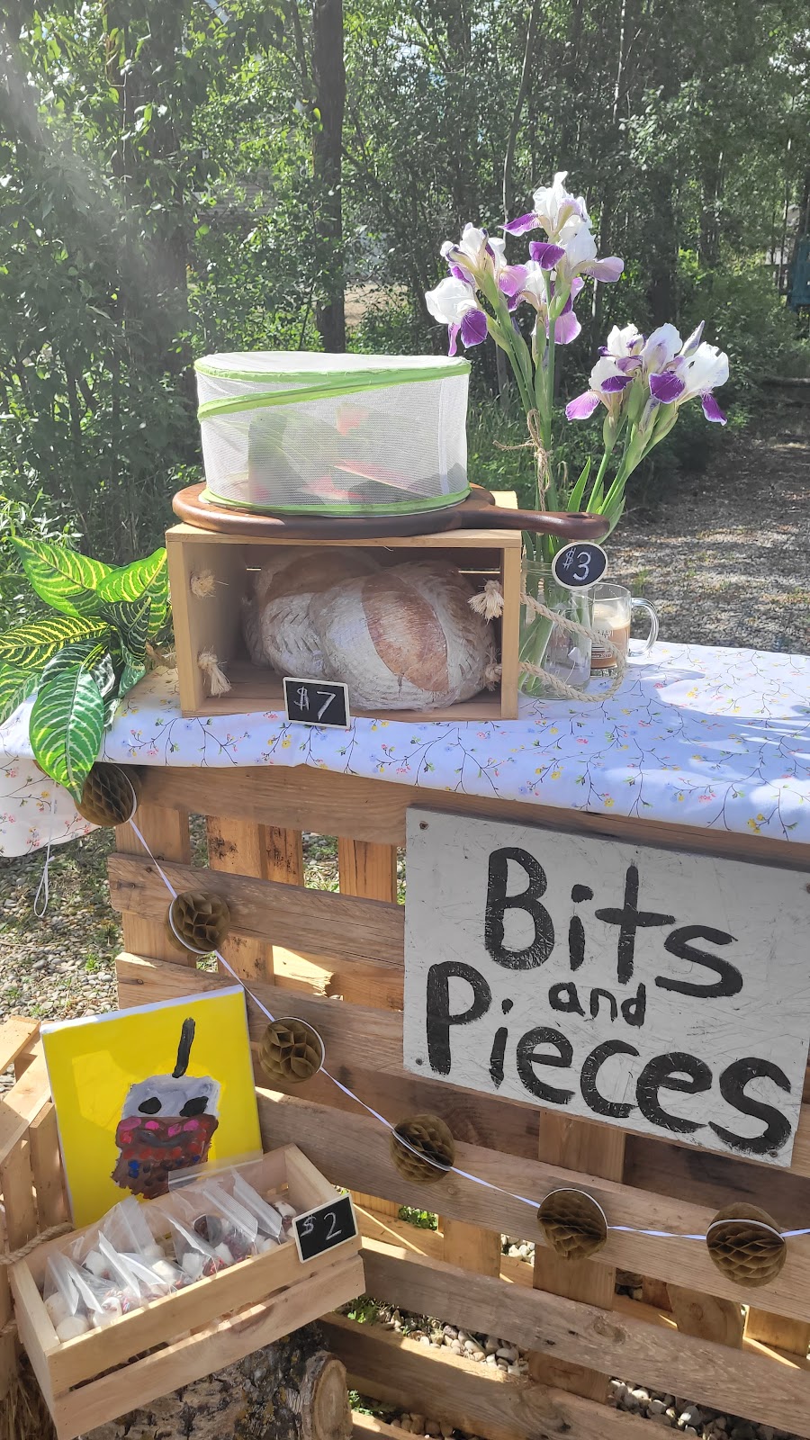 Bits and Pieces Farm Stand | 49379 rr 212 #101, Hay Lakes, AB T0B 1W0, Canada | Phone: (403) 869-1124