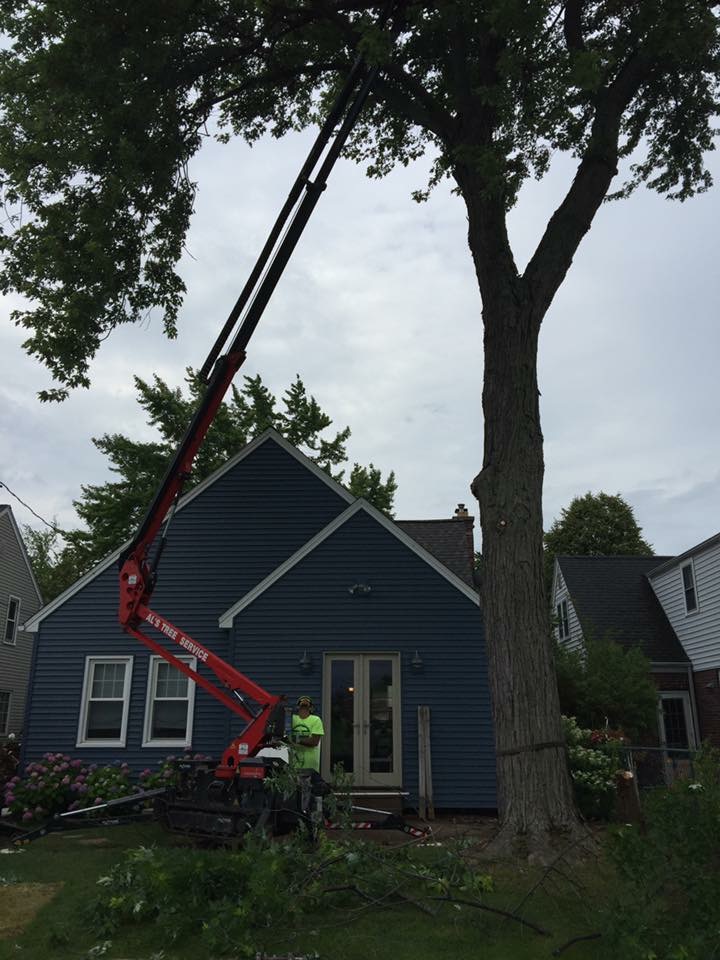 Als Tree Service | 650 Two Mile Creek Rd, Tonawanda, NY 14150, USA | Phone: (716) 692-7041