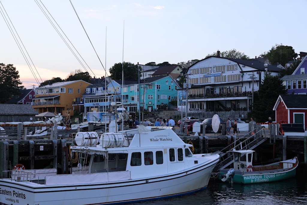 Lunenburg Whale Watching Tours | 62 Bluenose Dr, Lunenburg, NS B0J 2C0, Canada | Phone: (902) 527-7175