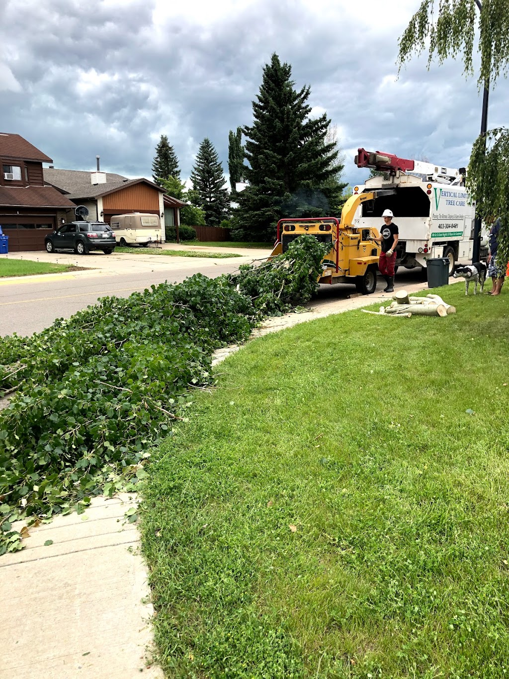 Vertical Limits Tree Care Services | 315 Barrett Dr, Red Deer, AB T4R 1J1, Canada | Phone: (403) 304-8421