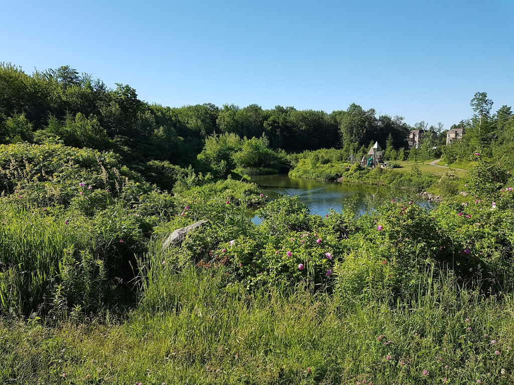 Park of the Montagne des Roches | Quebec City, QC G2L 0B2, Canada | Phone: (418) 641-6044