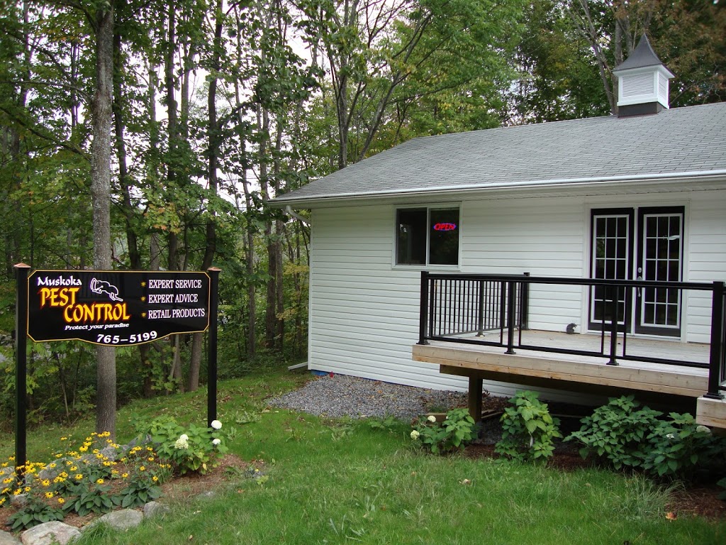 Muskoka Wildlife Control | 157 Medora St, Port Carling, ON P0B 1J0, Canada | Phone: (705) 765-5199