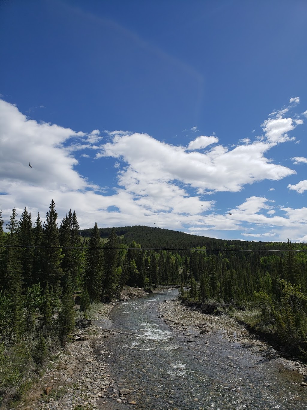 Waiparous Group Campground | Bighorn No. 8, AB T0L, Canada | Phone: (403) 637-2198