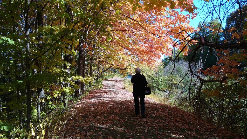 Woodcliff Greenbelt | Woodcliff Greenbelt, Toronto, ON M3B, Canada