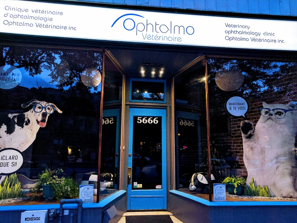 Clinique vétérinaire dophtalmologie - Ophtalmo Vétérinaire - In | 5666 Rue Sherbrooke Ouest, Montréal, QC H4A 1W7, Canada | Phone: (514) 375-4713